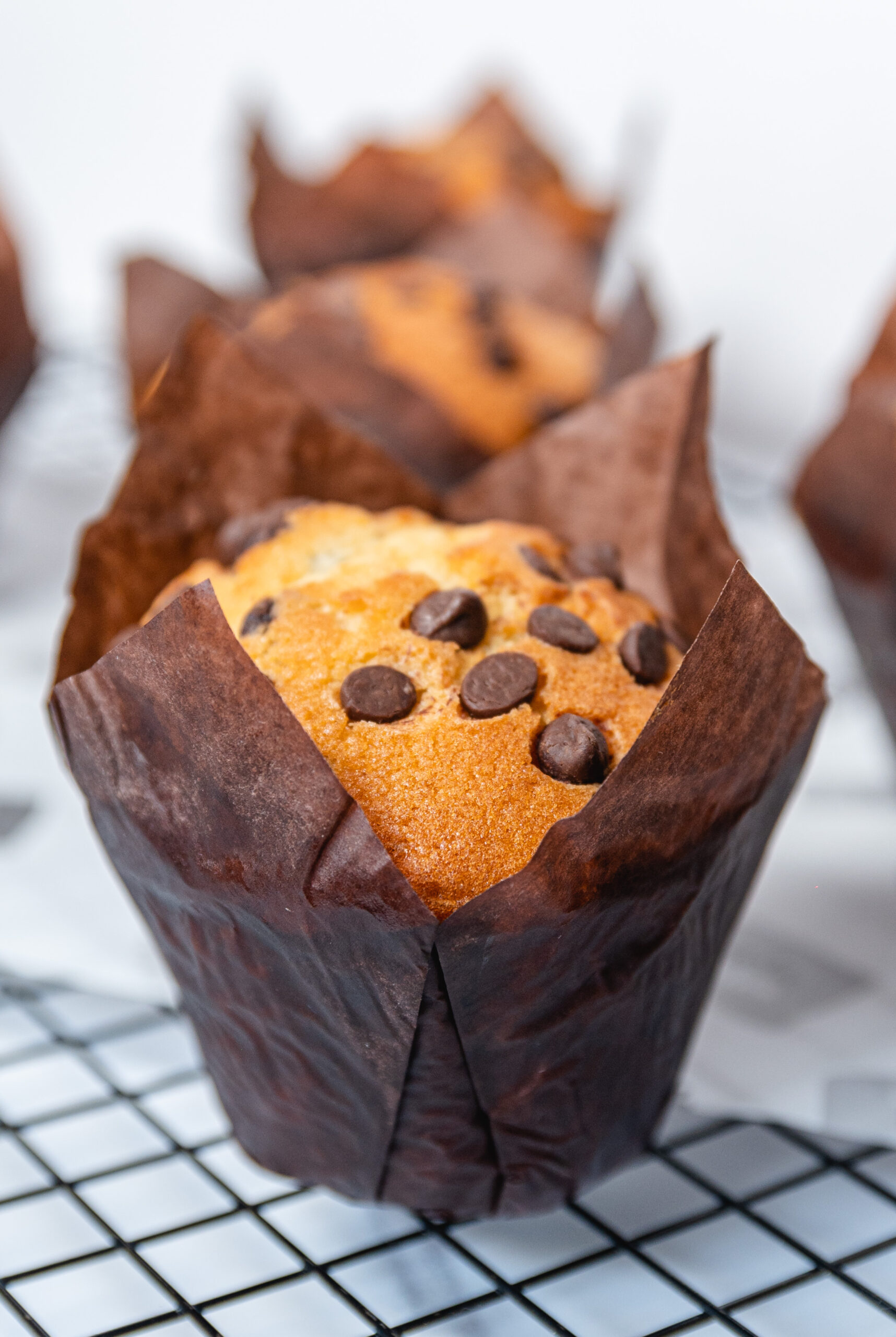 magdalenas-congeladas-vainilla-con-chispas-x6-90-gramos-cada-una